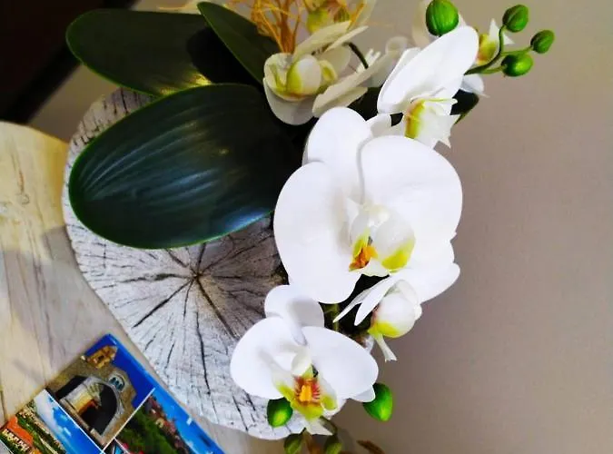 Tuffonelblu Appartement *