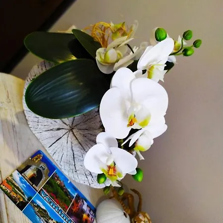 Tuffonelblu Apartment *