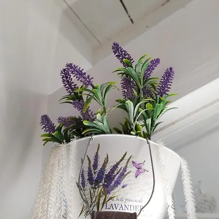 Appartamento Tuffonelblu