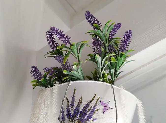 Lejlighed Tuffonelblu